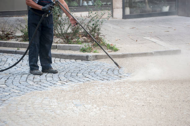 Animal Enclosure Cleaning in Hazel Green, AL