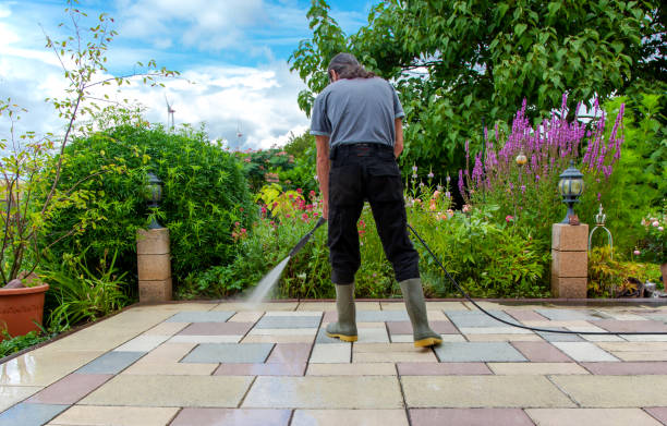 Best Restaurant Pressure Washing  in Hazel Green, AL